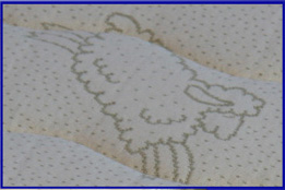 detail of cover
