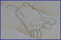 Organic Euro Stretch Cotton