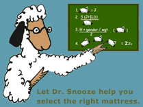 Dr. Snooze will help you select the right mattress.