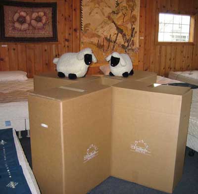 FloBeds Mattress and Foundation in 4 Neat Boxes