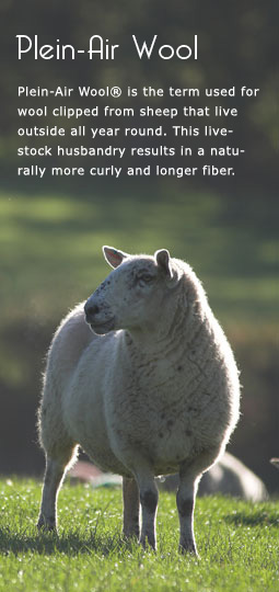 Plein-Air Sheep make the best wool!