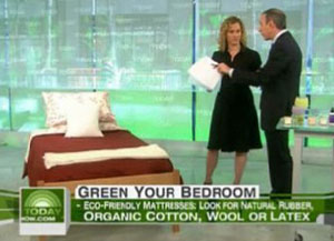 Matt Lauer of Today Show Talks about EcoMattress - Green Mattress