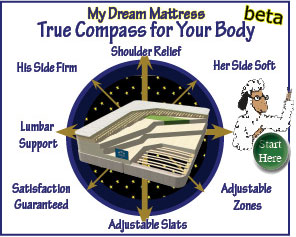 My Dream Mattress will help you find the right mattress for your body!