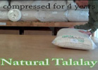 Talalay vs Dunlop