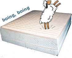Sheep Jumping on Latex Mattress