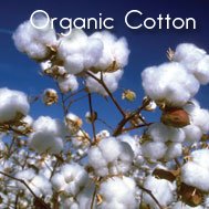 Organic Cotton