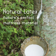 Combined with Organic Cotton and Organic Wool... our Natural Latex Mattress is as clean as it gets!