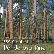 It all starts with a good foundation... made with sustainably harvested pine for the Organic and Natural bed of choice.