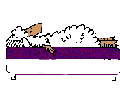 sheepfirm.gif (1828 bytes)