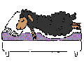 sheepsoft.gif (2115 bytes)
