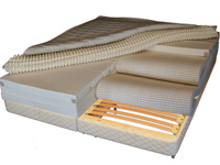 In addition to the <b>top to bottom</b> &amp; <b>side to side</b> customization of our Select &amp; Deluxe models, the vZone features <b>head to toe</b> adjustable zoning to provide pressure point relief for hips and shoulders as well as additional lumbar support. With the Organic Natural vZone, your mattress is customized and adjustable in every direction!