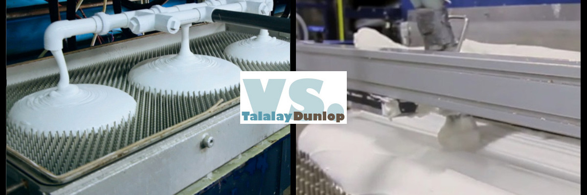 Picture of Flobeds Talalay Process