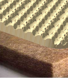 coir and convolute
