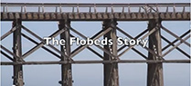 The FloBeds Story
