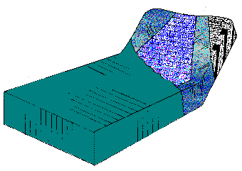 FloBed Fluid Mattress