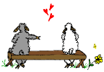 Social Distance